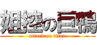 姐控の巨鴨 (attack on titan)