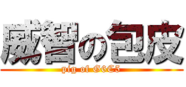 威智の包皮 (pig of G6C5)