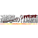 進撃の傻瓜茜 (attack on titan)