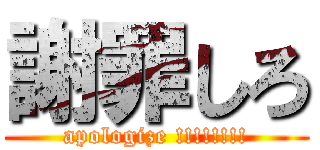 謝罪しろ (apologize !!!!!!!!)