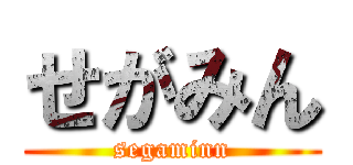 せがみん (segaminn)