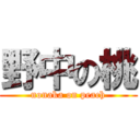 野中の桃 (nonaka on peach)