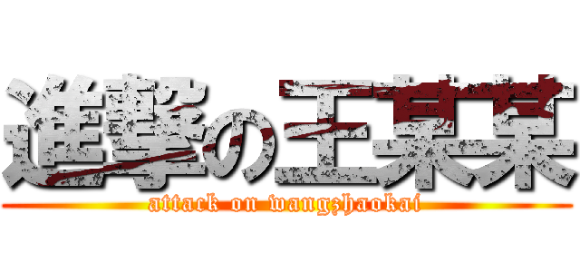 進撃の王某某 (attack on wangzhaokai)