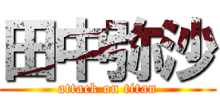 田中弥沙 (attack on titan)