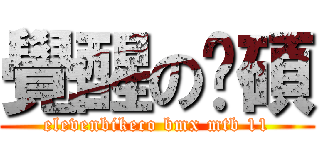 覺醒の彥碩 (elevenbikeco bmx mtb 11)