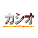 カシオ (cashio)