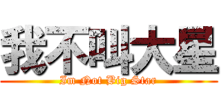 我不叫大星 (Im Not Big Star)