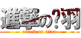 進撃の嬿羽 (attack on titan)