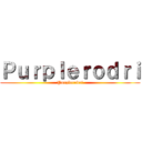 Ｐｕｒｐｌｅｒｏｄｒｉ (Purplerodri)