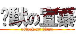 沉默の宜蓁 (attack on titan)