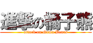 進撃の橘子熊 (attack on Gama Bears)