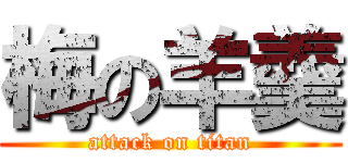 梅の羊羹 (attack on titan)