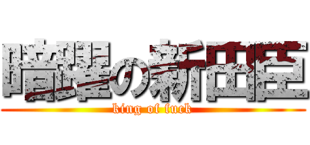 暗躍の新田臣 (king of fuck)