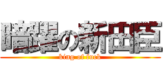 暗躍の新田臣 (king of fuck)