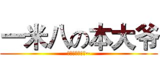 一米八の本大爷 (兔子只有一米四~)