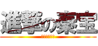 進撃の秦宝 (壮哉我大秦宝)