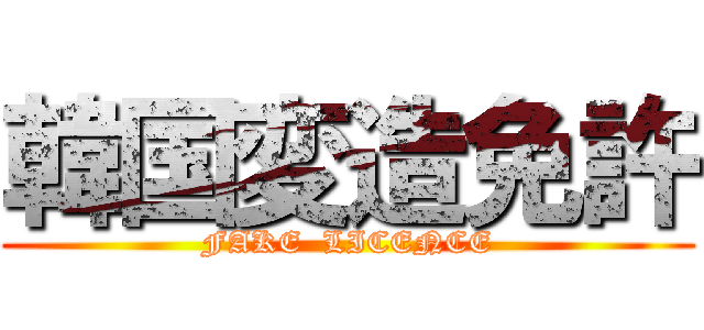 韓国変造免許 (FAKE  LICENCE)