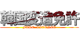 韓国変造免許 (FAKE  LICENCE)