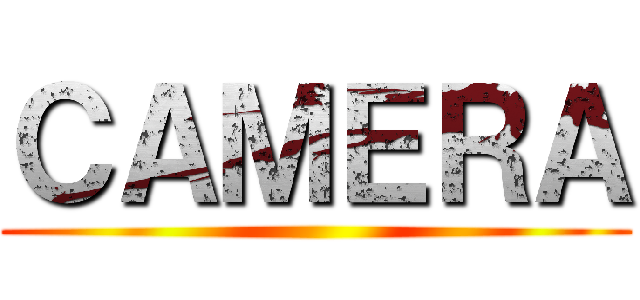 ＣＡＭＥＲＡ ()