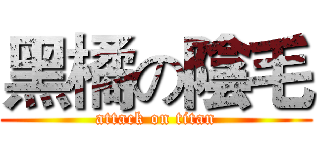 黑橘の陰毛 (attack on titan)