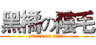 黑橘の陰毛 (attack on titan)