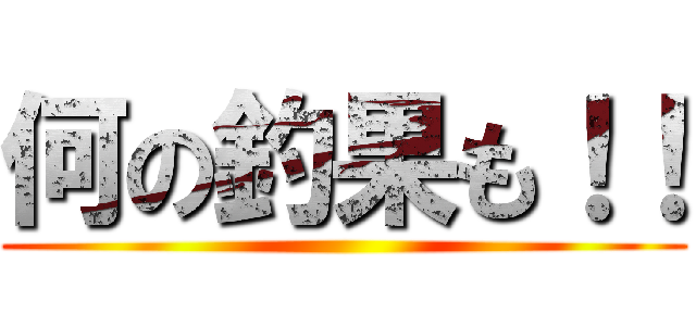 何の釣果も！！ ()