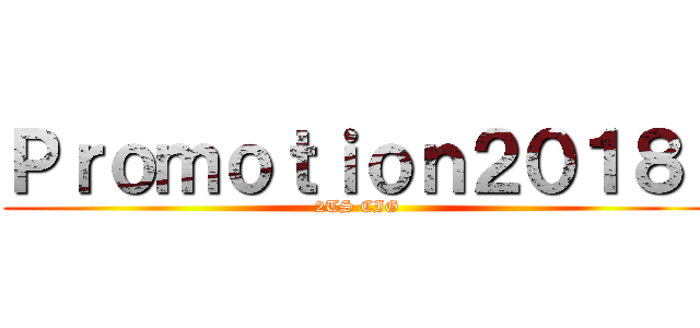 Ｐｒｏｍｏｔｉｏｎ２０１８  (2TS CIG)