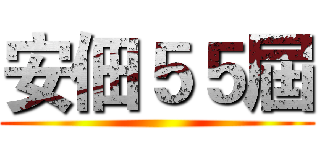 安佃５５屆 ()