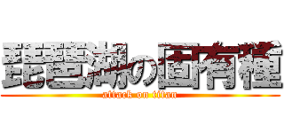 琵琶湖の固有種 (attack on titan)