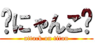 🔥にゃんこ🔥 (attack on titan)