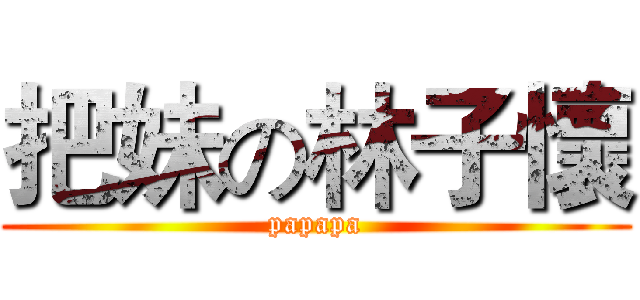 把妹の林子懷 (papapa)