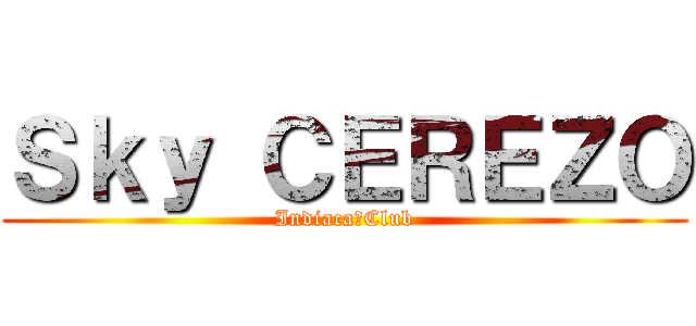 Ｓｋｙ ＣＥＲＥＺＯ (Indiaca　Club)