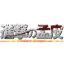 進撃の孟皮 (attack on Mengpi)