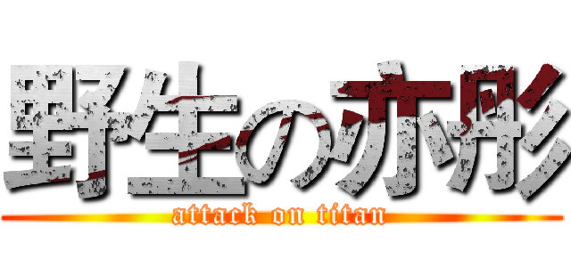 野生の亦彤 (attack on titan)