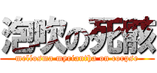 泡吹の死骸 (meliosma myriantha on corpse)