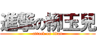 進撃の柳玉兒 (attack on titan)