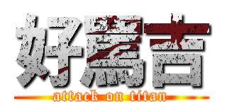 好罵吉 (attack on titan)