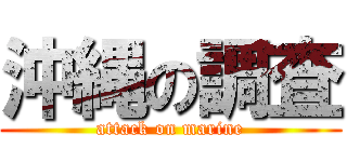 沖縄の調査 (attack on marine)