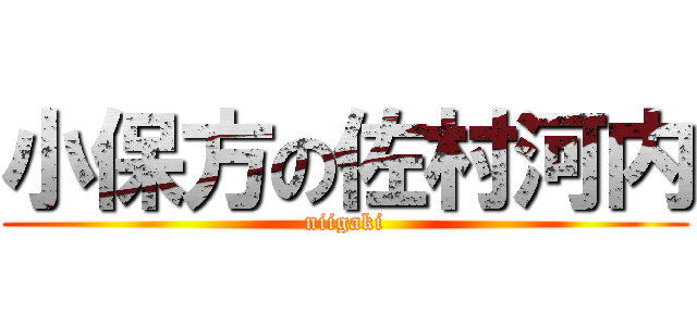 小保方の佐村河内 (niigaki)