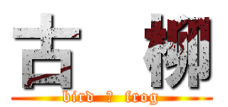 古  柳 (bird  ＆  frog)