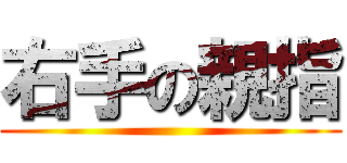 右手の親指 ()