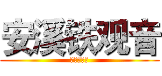 安溪铁观音 (安溪铁观音)