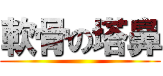 軟骨の塔鼻 ()