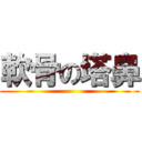 軟骨の塔鼻 ()