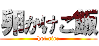 卵かけご飯 (hot rice)