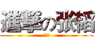 進撃の张韬 (好挫哦)