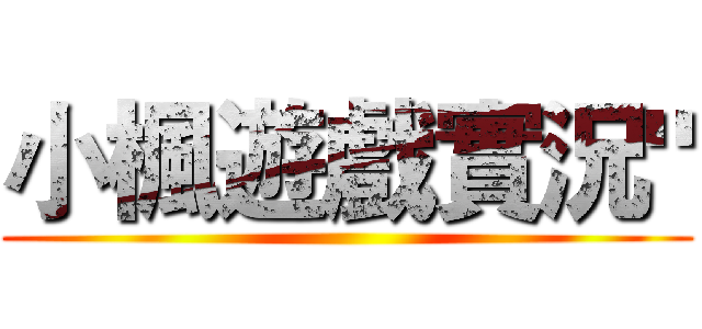 小楓遊戲實況" ()