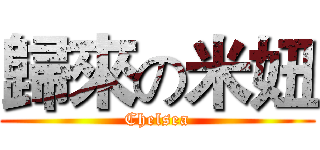 歸來の米妞 (Chelsea)