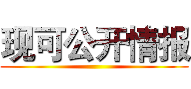 现可公开情报 ()