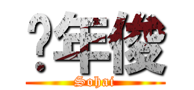 谭年俊 (Sohai)